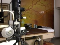 WhatsApp Image 2023-10-18 at 10.41.24 AM (11)